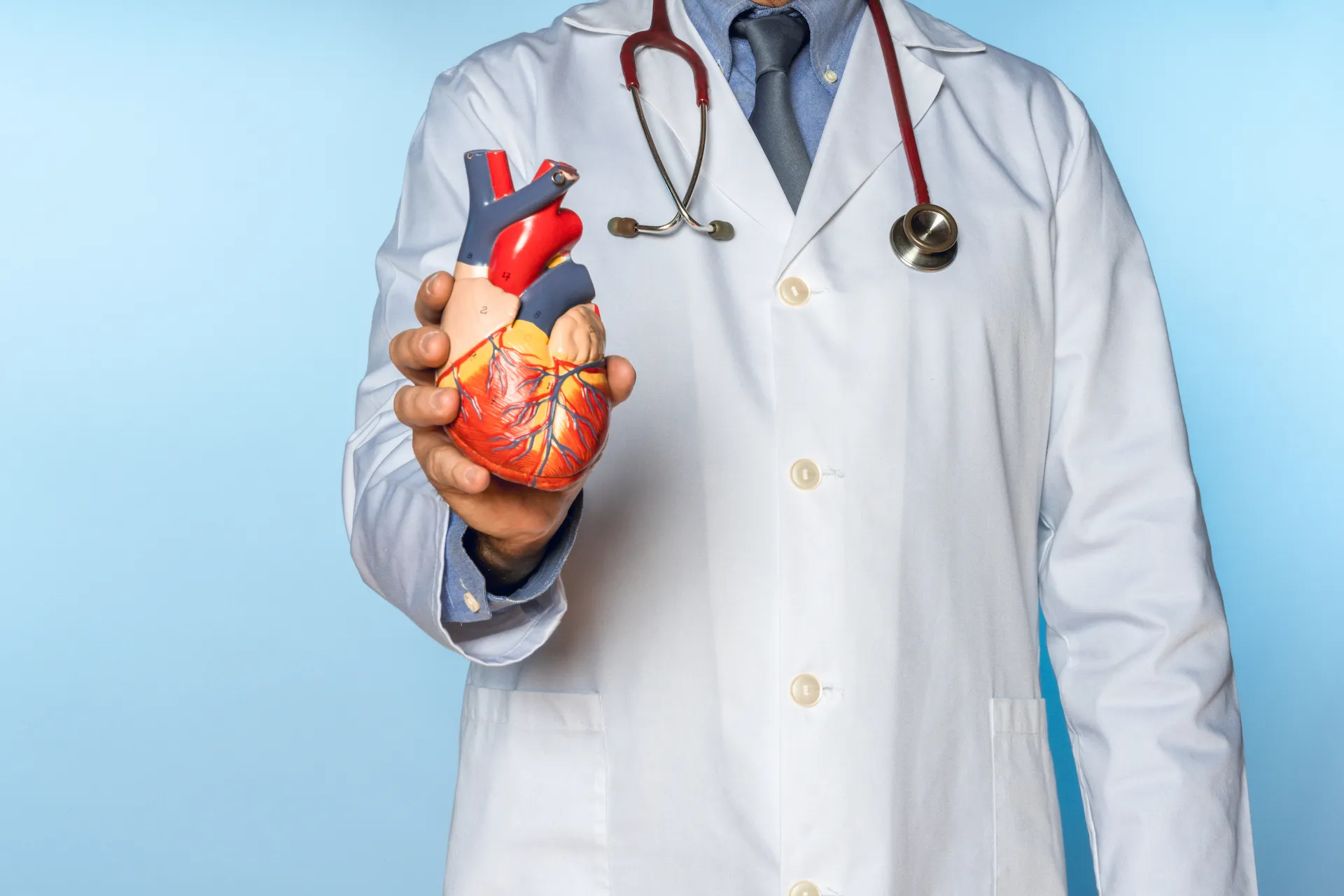 Essential Tips for Maintaining Heart Health