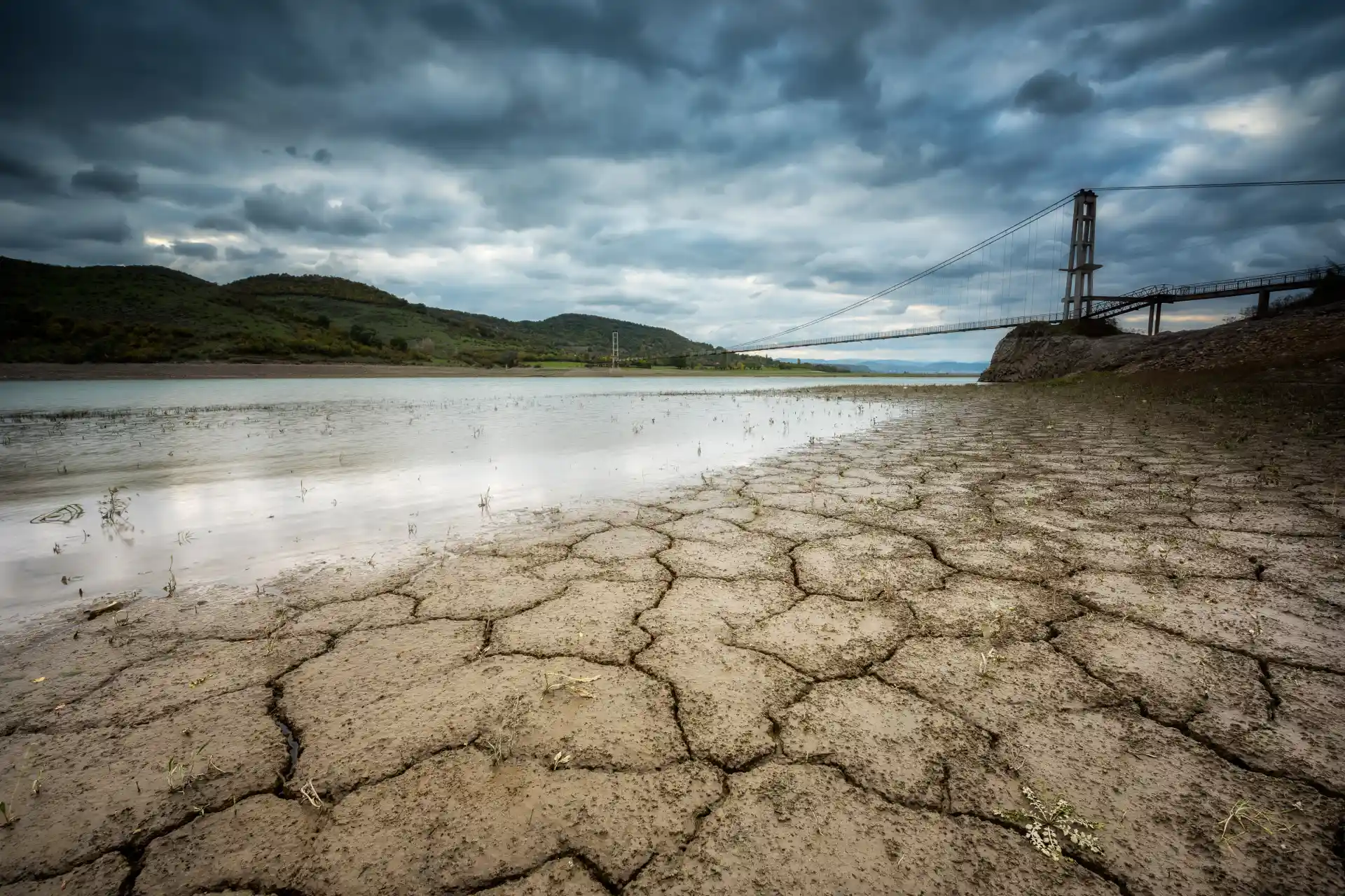 How Climate Change Impacts Wildlife Ecosystems