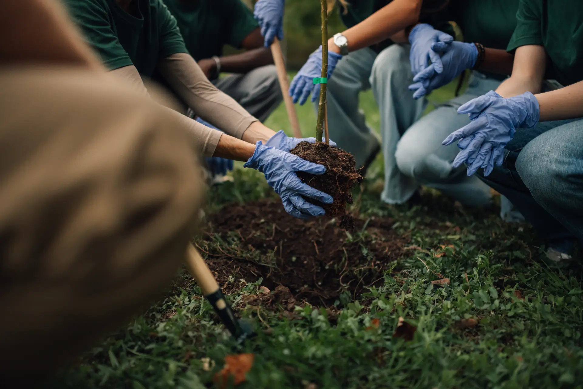 Simple Ways to Support Wildlife Conservation Efforts