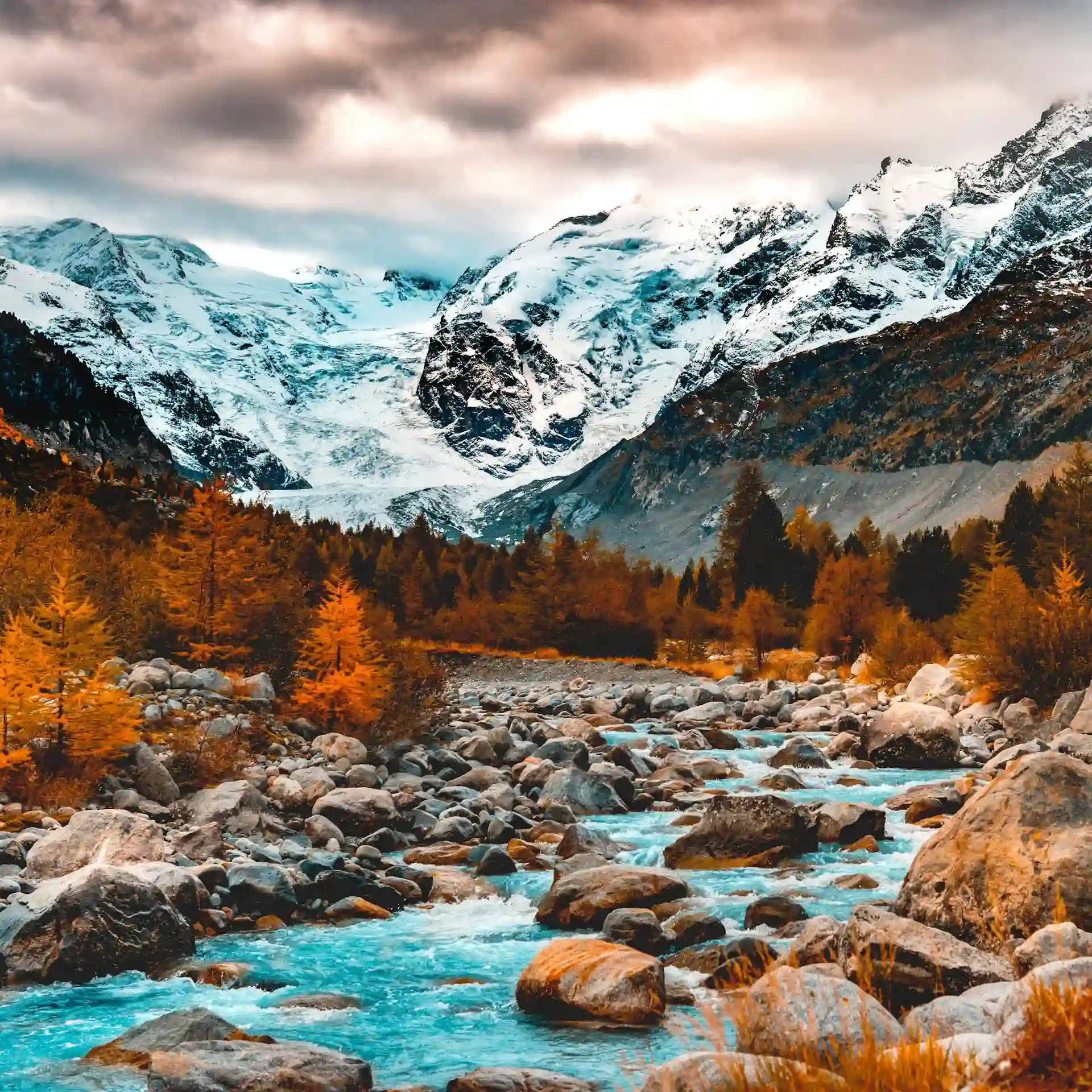 michael-grant-1U9oVRBQOnY-unsplash